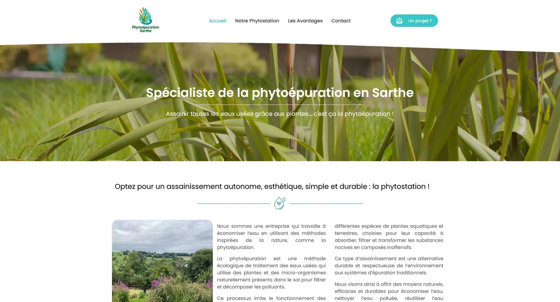 Phytosarthestudio